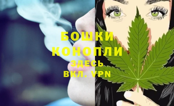 Альфа ПВП Богородицк