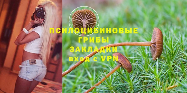 mdma Богданович